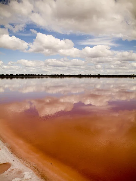 Lago rosa — Fotografia de Stock