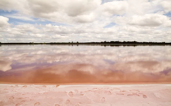 핑크 호수 — 스톡 사진