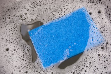 Blue Sponge clipart