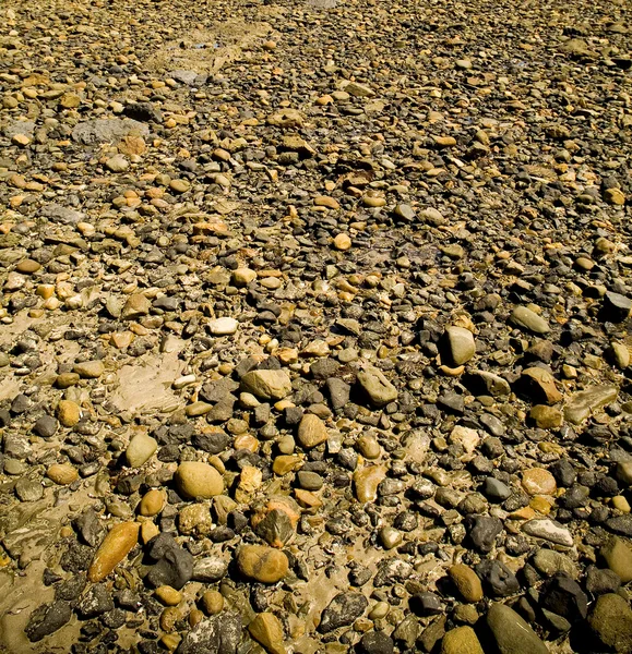 River Rocks — Stock Photo, Image