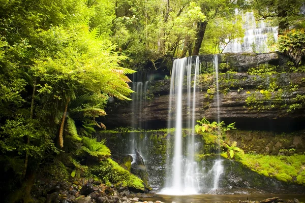 Russel Falls, Tasmanie — Photo