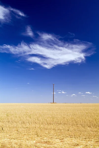 Field with Pole — Stock Photo, Image