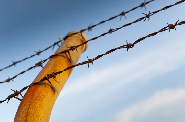 Barbed Fence — Stock Photo, Image