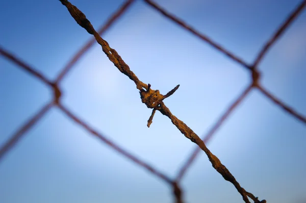 Barbed Wire Close — Stockfoto