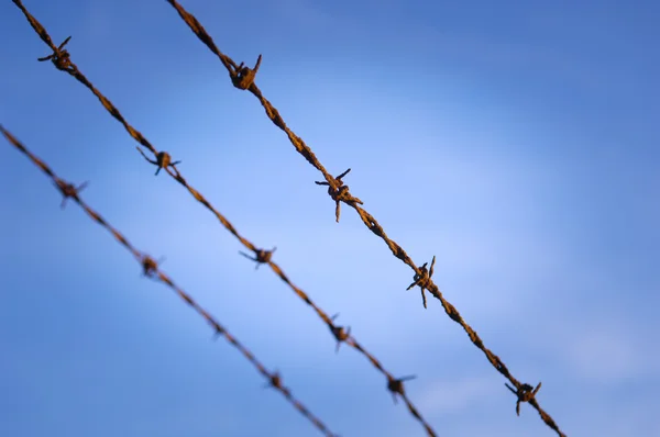 Barbed Wire Close — Stok fotoğraf