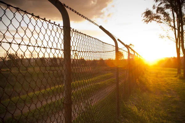 Sunset Fence — Stockfoto