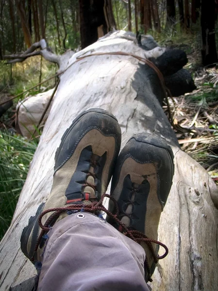 Yürüyüş botları — Stok fotoğraf