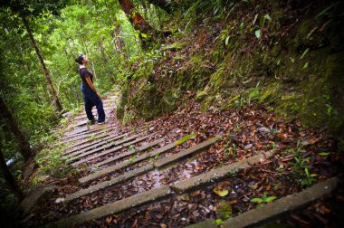 Woman Jungle Hiker clipart