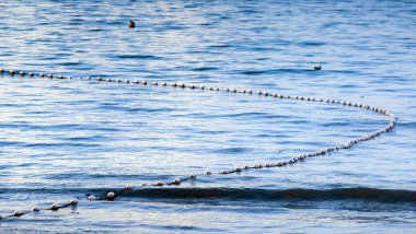 köpekbalığı ağlar
