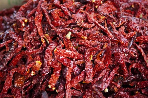 Dried Chilli — Stock Photo, Image