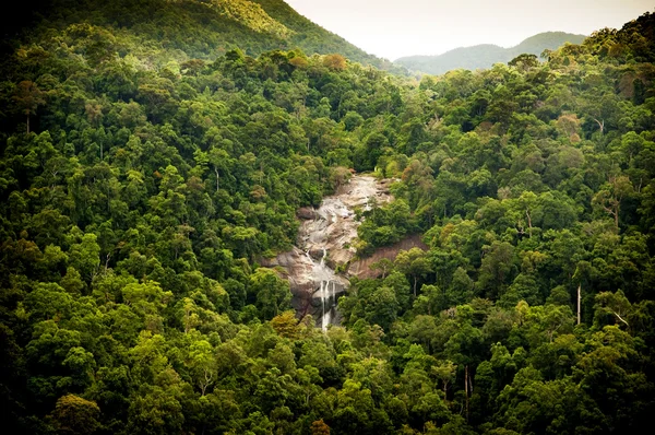 Dschungel-Wasserfall — Stockfoto