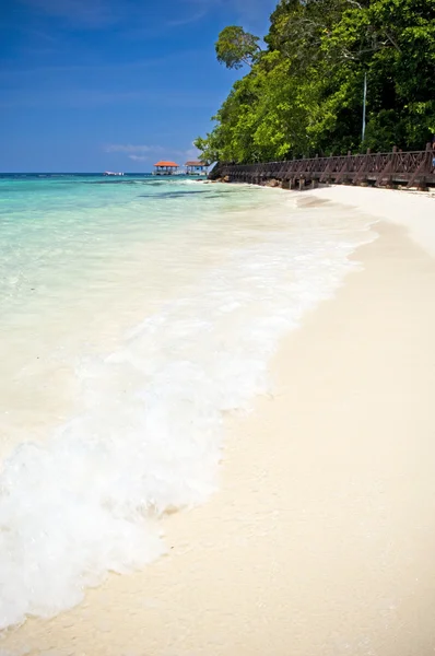 Playa Paradise —  Fotos de Stock