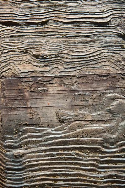 Texture rugueuse du bois — Photo