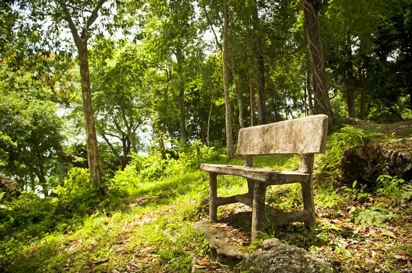 Assento florestal — Fotografia de Stock
