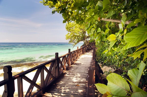 Tropical Walkway — Stock Photo, Image