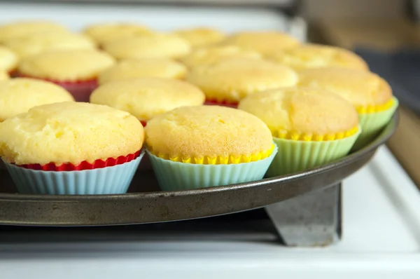 stock image Cupcakes