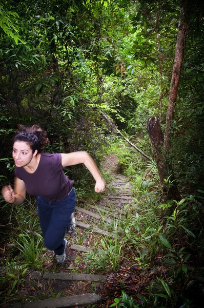 Kadın ormanda uzun yürüyüşe çıkan kimse — Stok fotoğraf