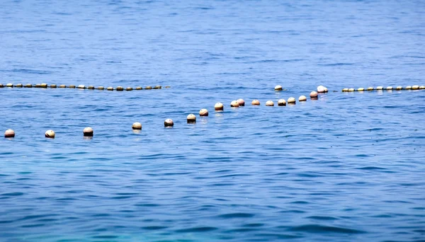 Ocean Buoys — Stock Photo, Image