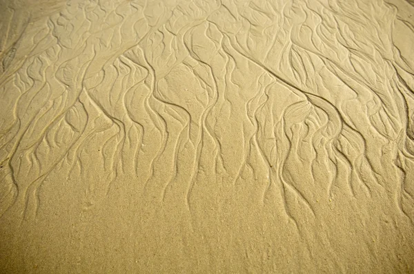 รูปแบบทราย — ภาพถ่ายสต็อก