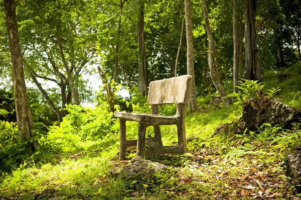 森林的位子 — 图库照片