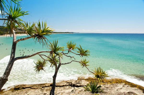 Australijska plaża — Zdjęcie stockowe