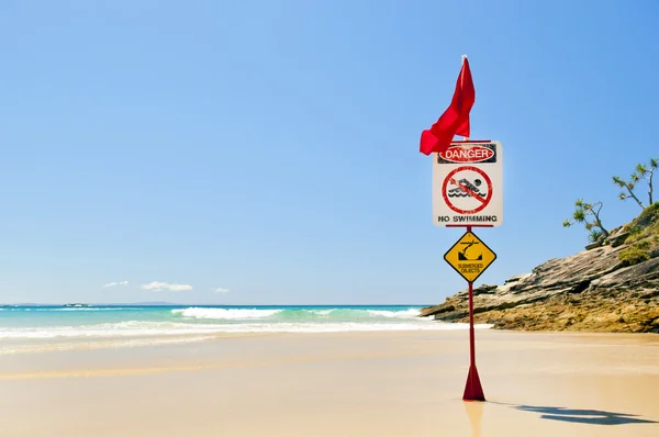 Пляж для серфинга флаги — стоковое фото