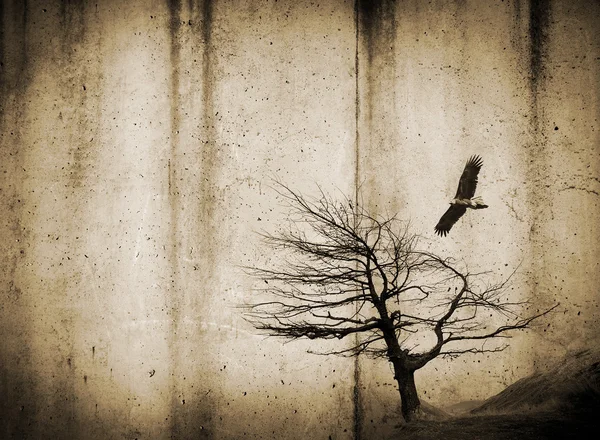 Дерево и птица на грубом фоне — стоковое фото