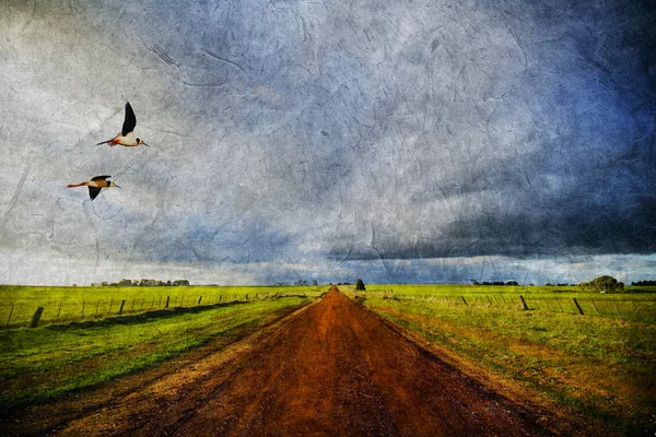 Estrada rural e pássaros em estilo antigo — Fotografia de Stock