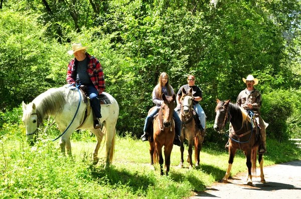 グループの遠出、馬に乗る ロイヤリティフリーのストック写真