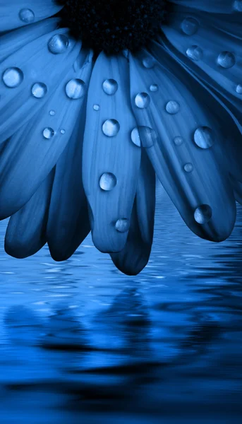 Голубые капли воды — стоковое фото
