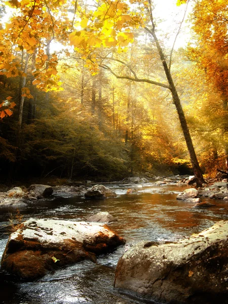 Jesień creek w rano — Zdjęcie stockowe