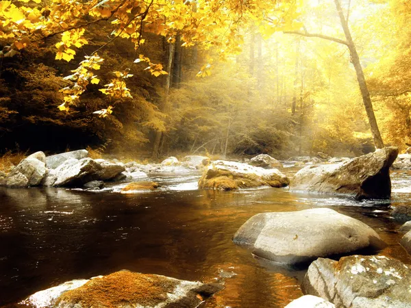 Podzimní creek — Stock fotografie