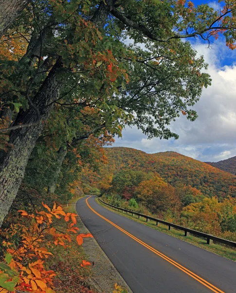 Camino de montaña durante el otoño —  Fotos de Stock