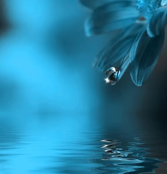 葉から落ちる水ドロップ ロイヤリティフリーのストック画像