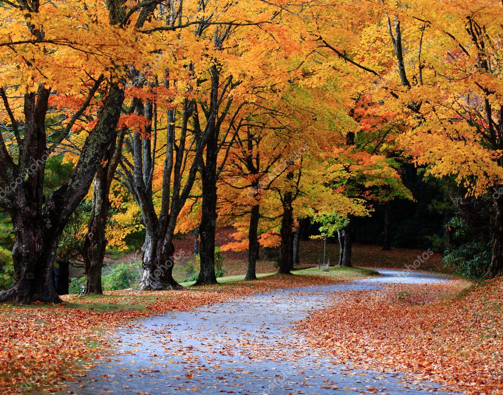 Autumn Pathway Stock Photo By ©kevron2002 7689862