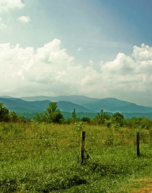 A field in the mountains clipart