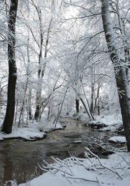 Kış creek