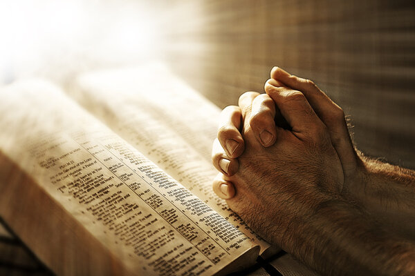 Mans hands praying on Bible