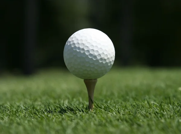 Golfball auf Tee — Stockfoto