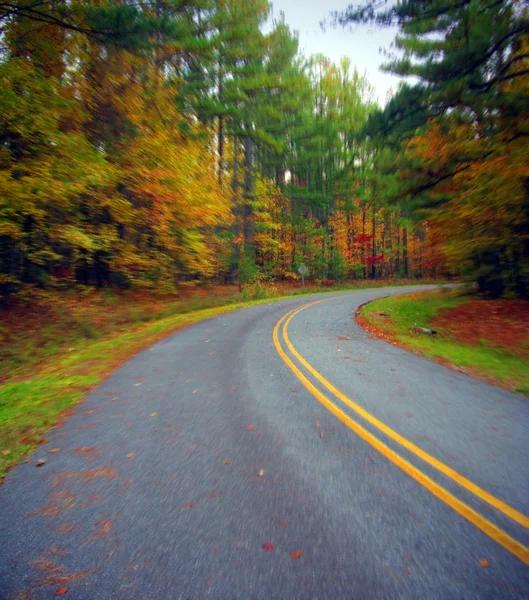 秋の山の道 — ストック写真