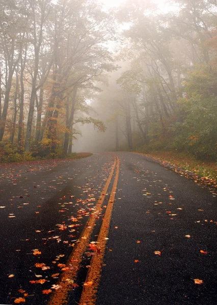Górska droga w sezonie jesień — Zdjęcie stockowe
