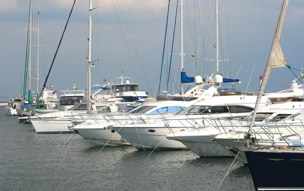 stock image Yachts in the Yacht Club