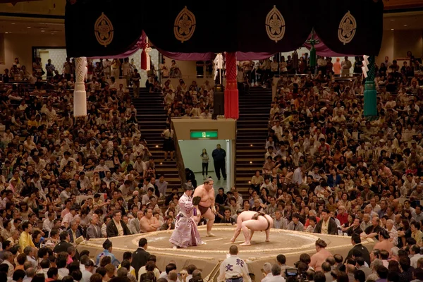 Lutadores de sumo no ringue Fotografia De Stock