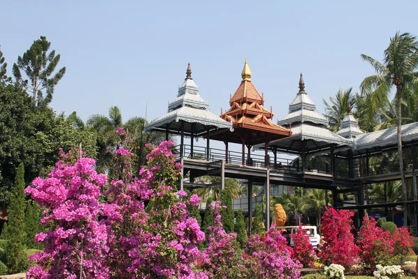 Botaniska trädgården i thailand — Stockfoto