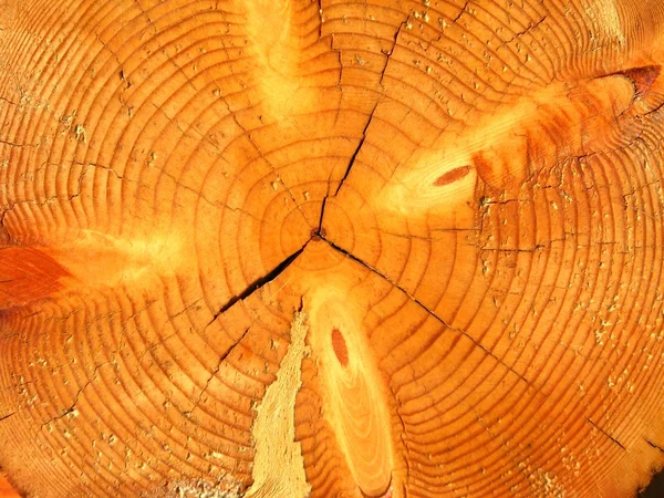 Timber background — Stock Photo, Image