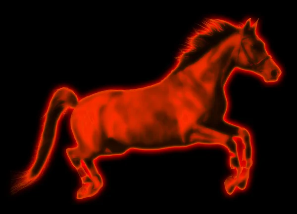 Gratis firehorse hoppning — Stockfoto