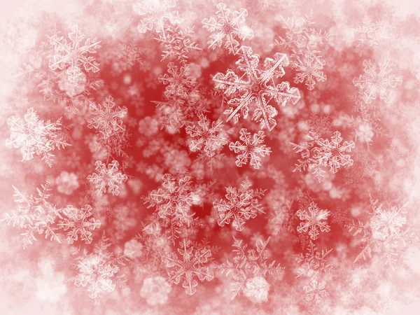 Winter achtergrond met fnowflakes — Stockfoto
