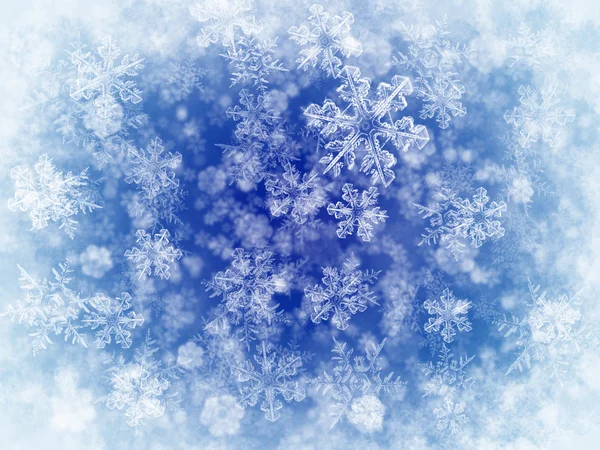 Fundo de inverno com flocos de neve Fotografias De Stock Royalty-Free