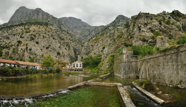 Kotor, Karadağ'defne