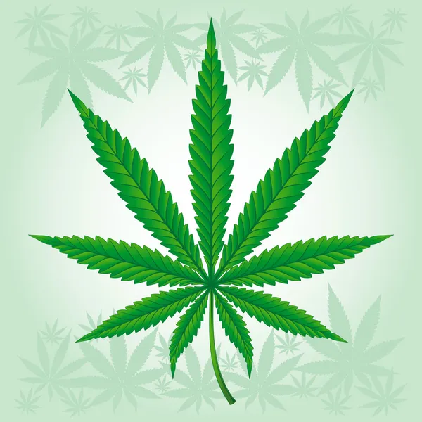 Cannabis / marihuana / wietblad gedetailleerde — Stockvector